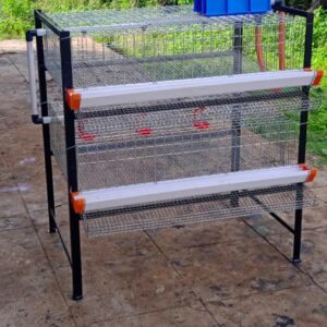Quail Layer Cages L type 2 tire