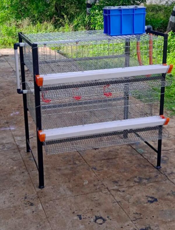 Quail Layer Cages L type 2 tire