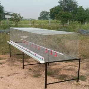 Country hen Chicks Cages ( NATTU KOZHI KOONDU)
